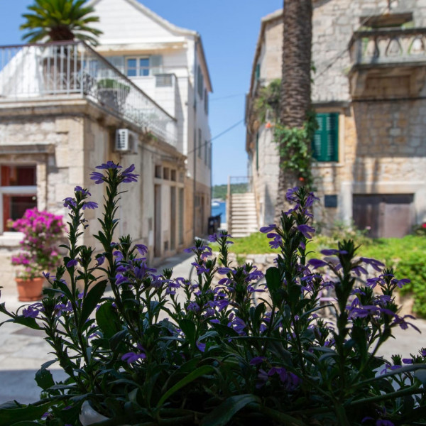 Casa Ruben, Villa Zdenka Mob. +385913635524