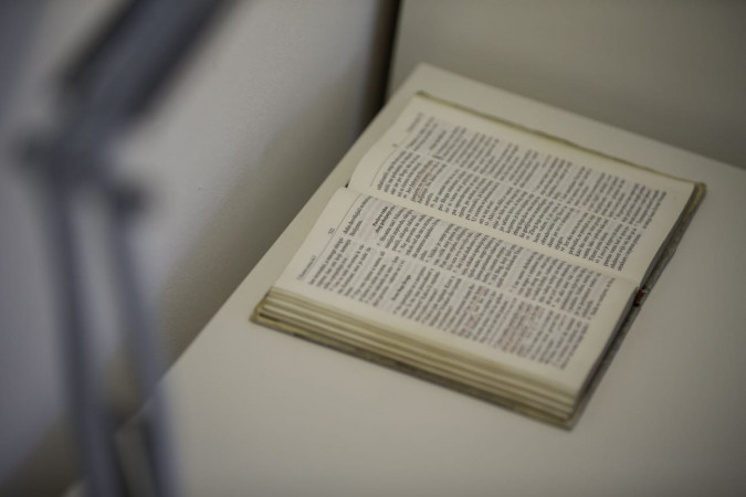 Casa Ruben, Villa Zdenka Vis